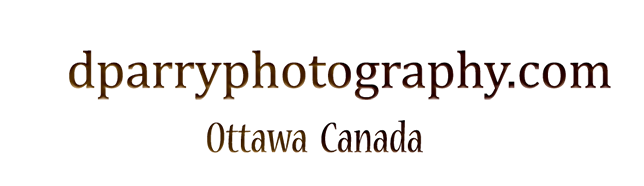 dparryphotography